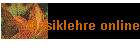 Musiklehre online